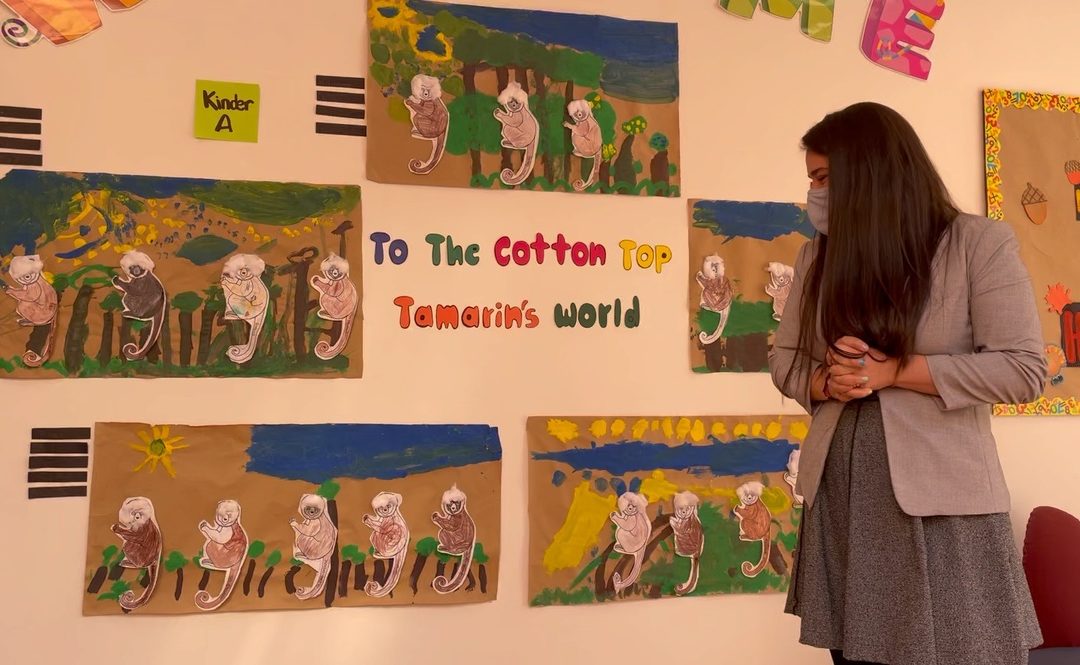 Trimester 1 Accomplishments in the Learning Presentations