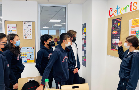 Sectors Fair – Social Science Class – High School