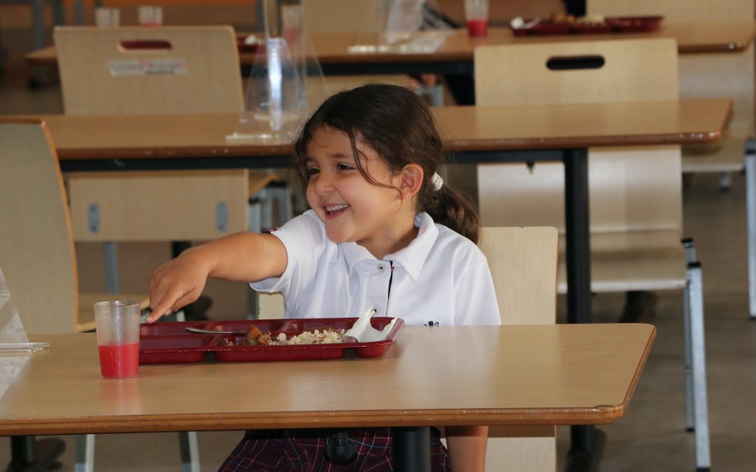 More Information in the Daily Menu