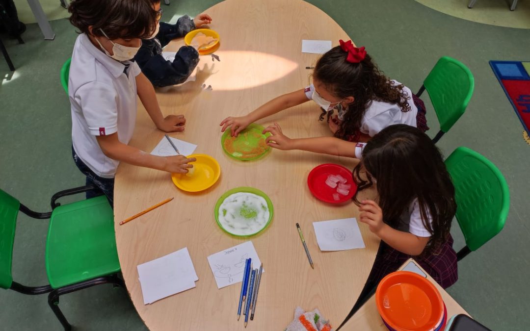 The Cotton Top Tamarin Makes Friends Around the World – Kindergarten – Integrated Project