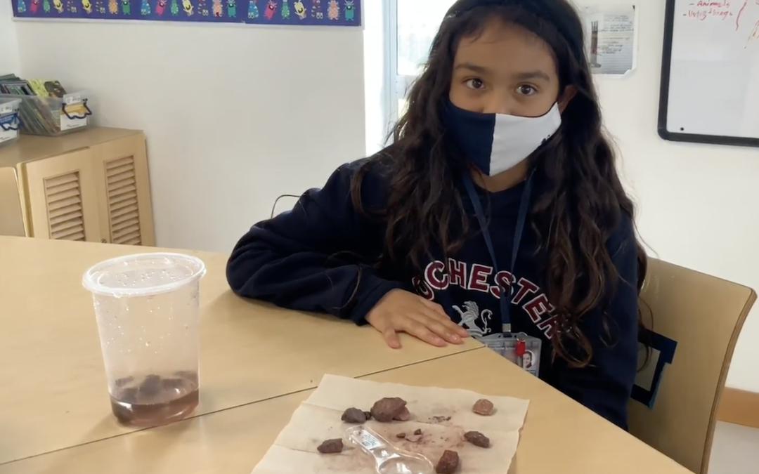 Natural & Environmental Science – RocksÂ´Life – 4th Grade