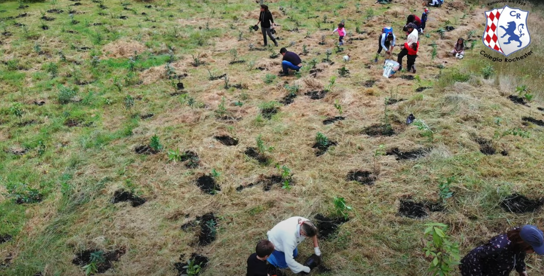 Rochester School Community Contributing to Sustainability in Chía