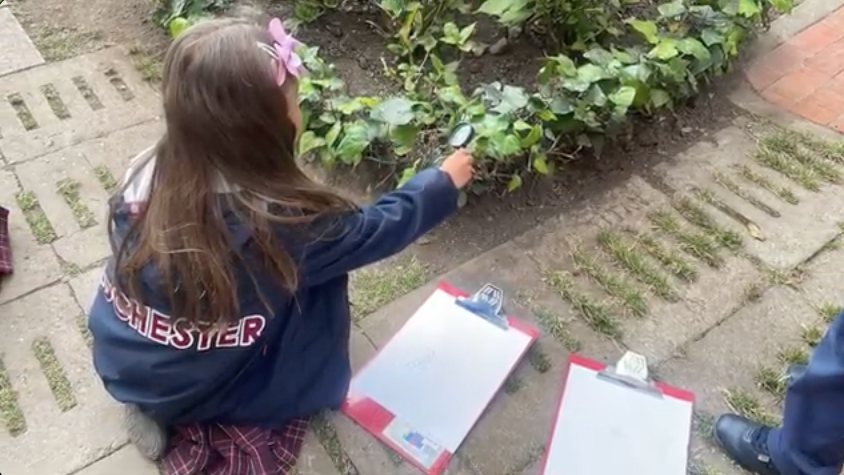Explorers Mission Around the School – Nature and Art