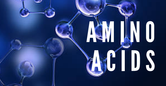 Sharing What I know About Proteins