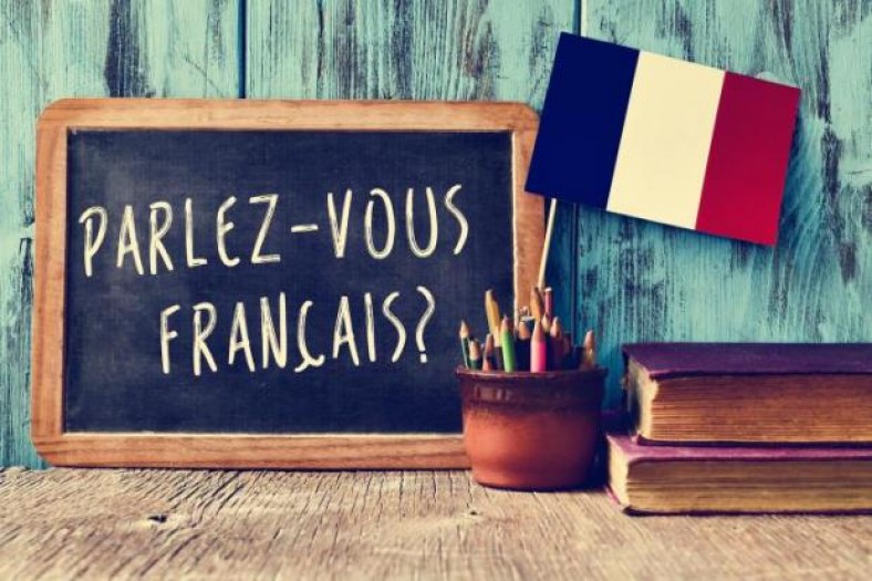 En Classe de Langue Étrangère, Nous Reconnaissons l’importance du Développement de l’Apprentissage Visuel