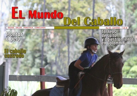 Hand in Hand with Equine Therapy