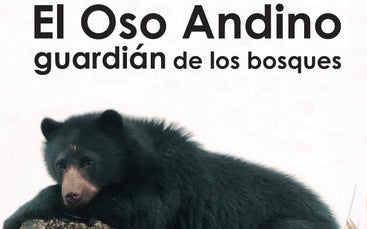 Andean Bear in La Laja Nature Reserve – Rochester Station
