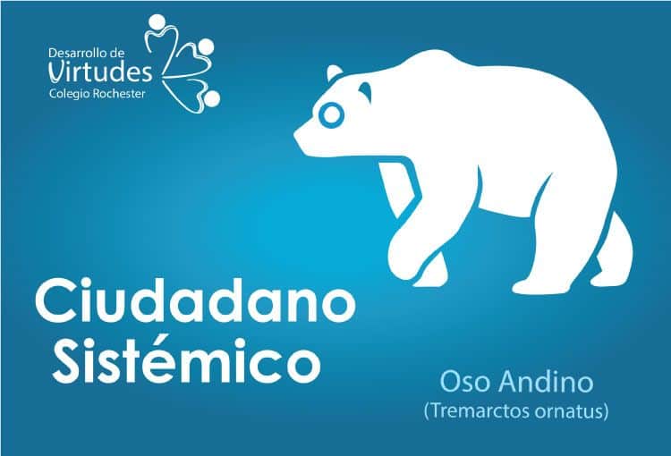 Ciudadano sistemático