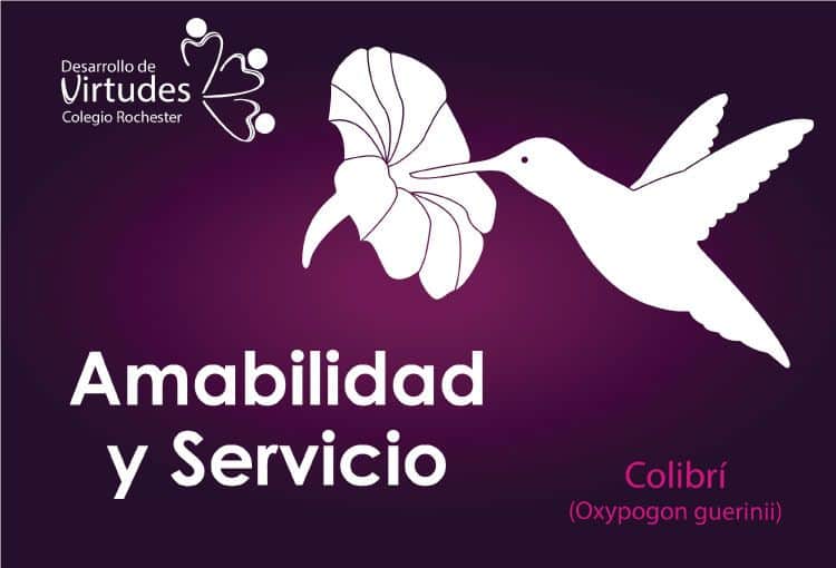 Amabilidad y servicio
